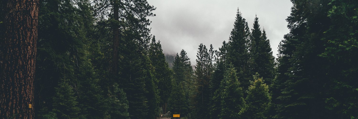 KennyNhcc's profile banner image