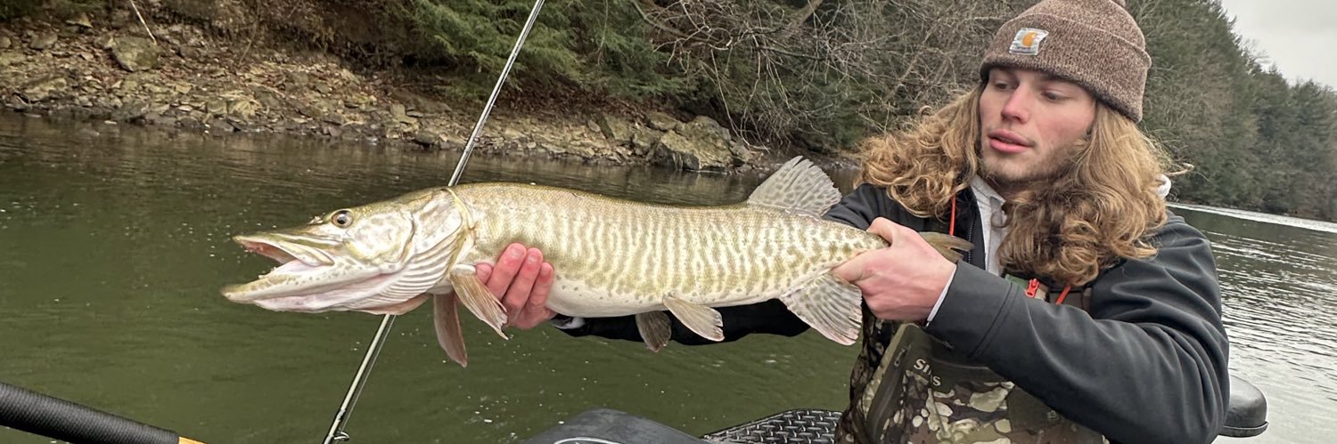 Nico Nuzzo banner