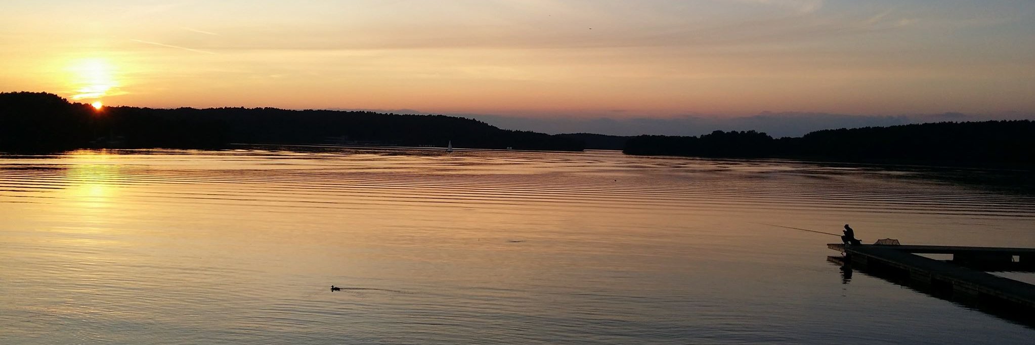 damSPW's profile banner image
