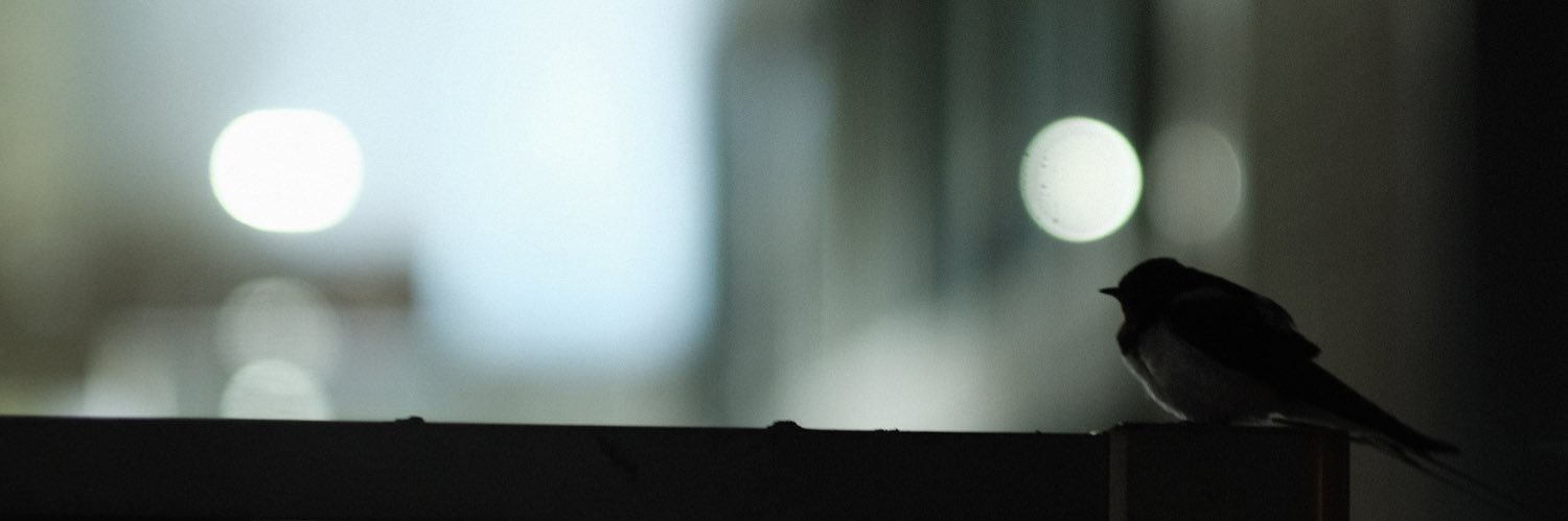 bpu76's profile banner image