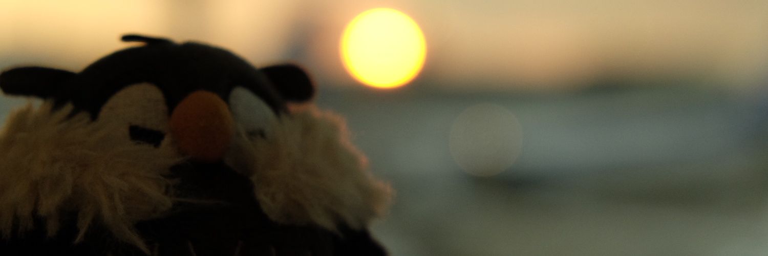 srirnss's profile banner image