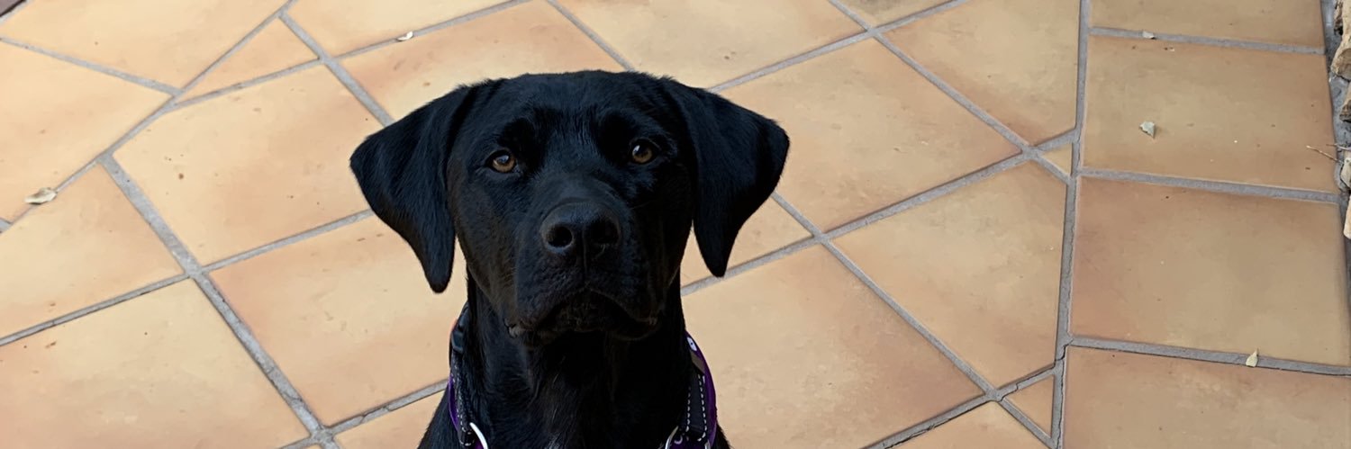 Brian K. Contreras 😎🇺🇸💙💙🌊 FBR banner