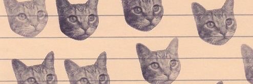 Susaz's profile banner image