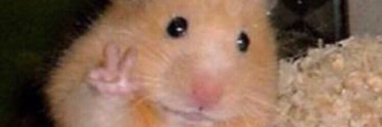 ConfleiPr's profile banner image