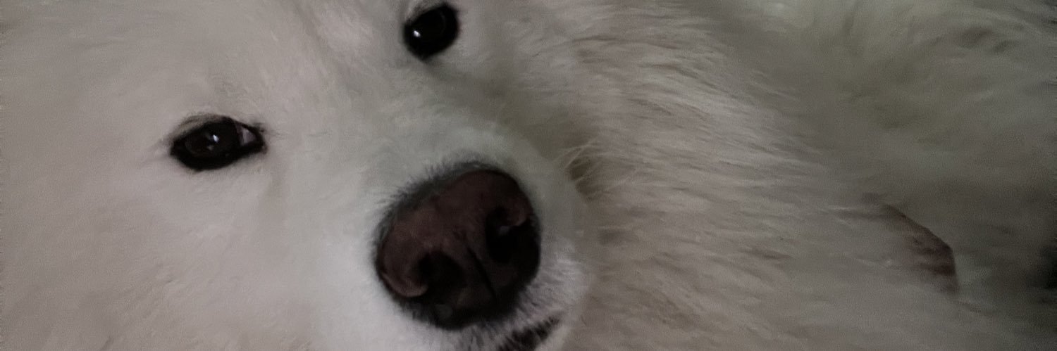 anlynne9's profile banner image