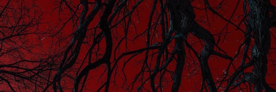 𝔳𝔢𝔯𝔰𝔲𝔠𝔥𝔢𝔯 banner