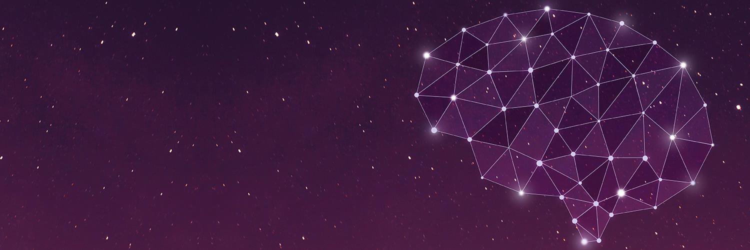 Nara Logics banner