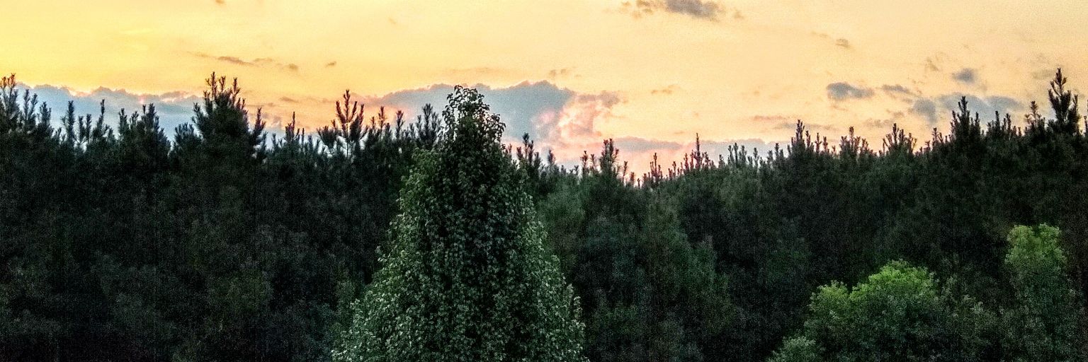BryantPenny2's profile banner image