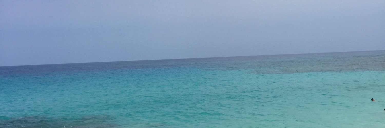 Kate S banner