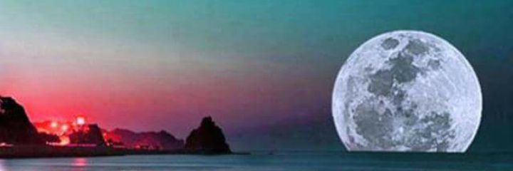 Alarconan's profile banner image