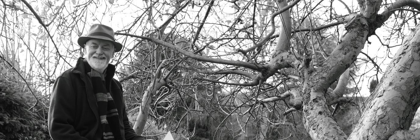 LateLovePoems's profile banner image