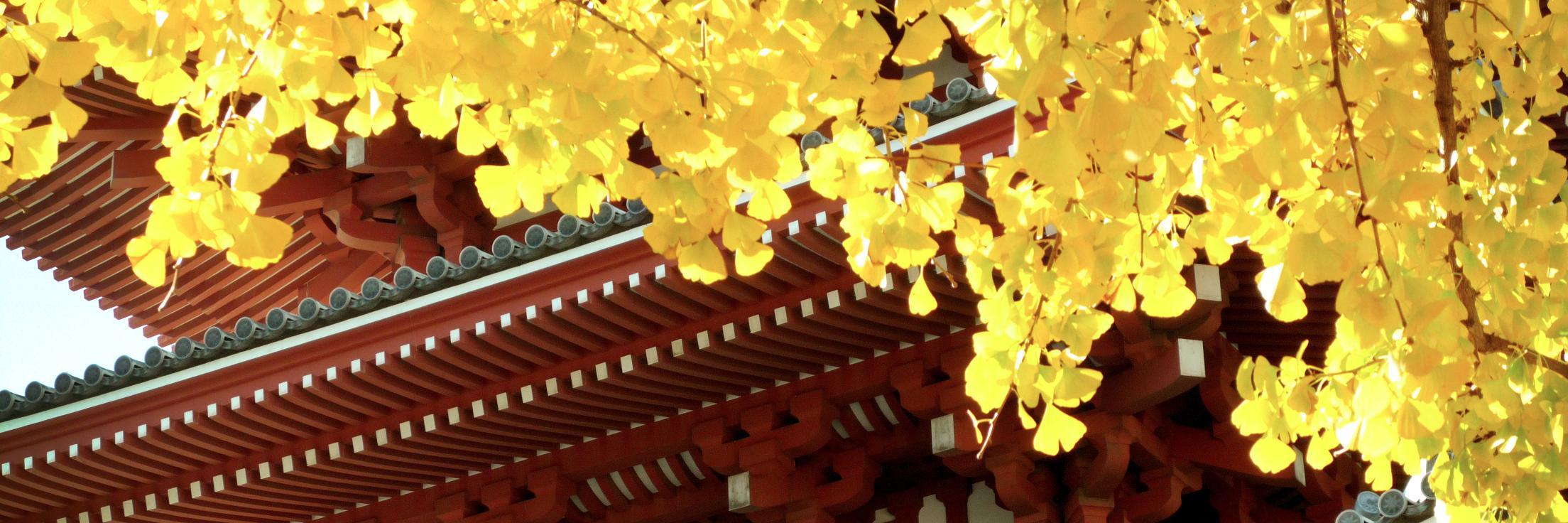 Saki453's profile banner image