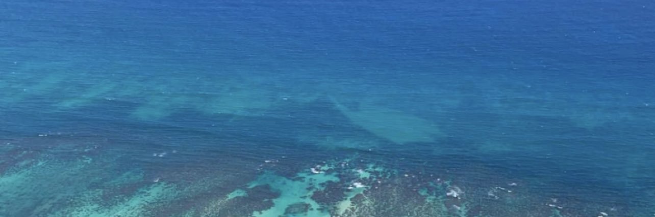 parkermangelsen's profile banner image