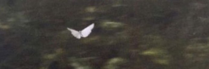 _faithstanley's profile banner image