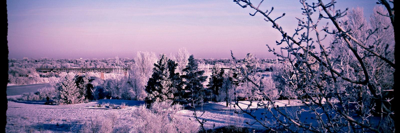 saskatoon_in's profile banner image