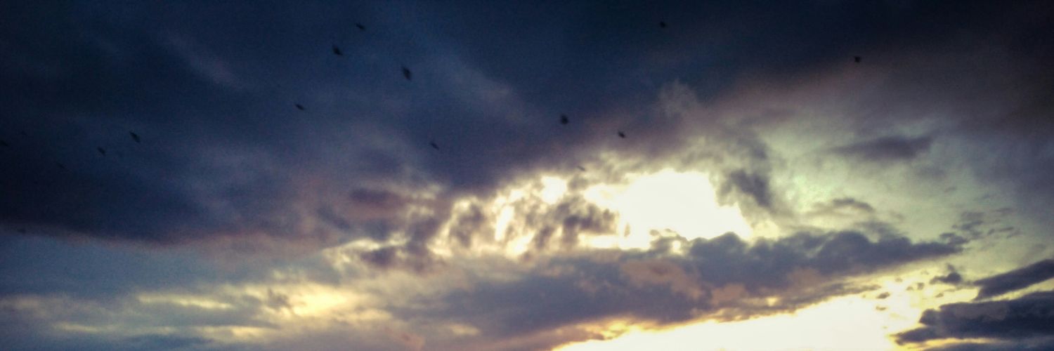 k_prgdv's profile banner image