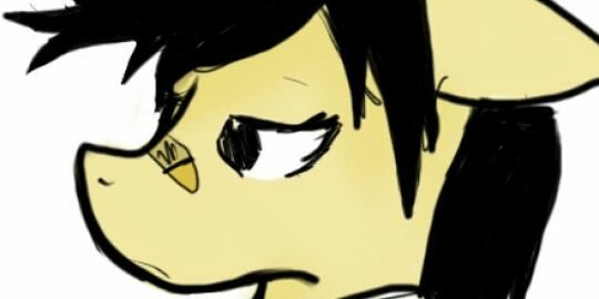 Mlp_Ecir's profile banner image