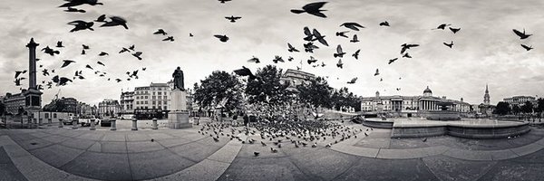 TraceyWatsonNHS Profile Banner