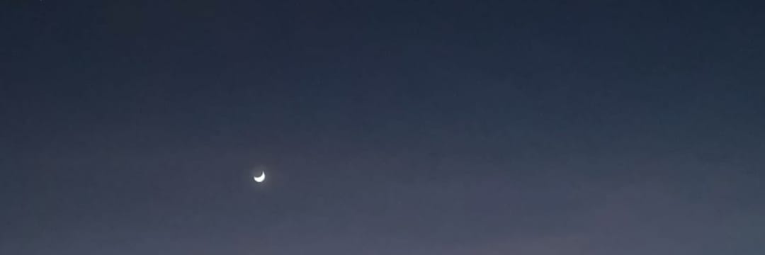 Lucatonicode's profile banner image