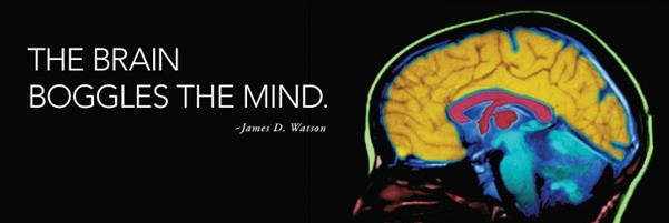 CoccPsychClub's profile banner image