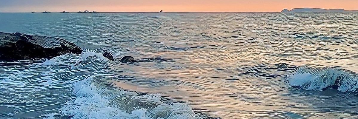 Leledoopiate's profile banner image