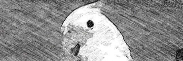 MstrChief's profile banner image