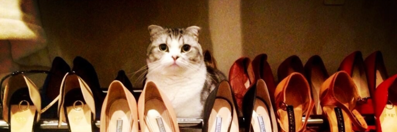 swiftstripper's profile banner image