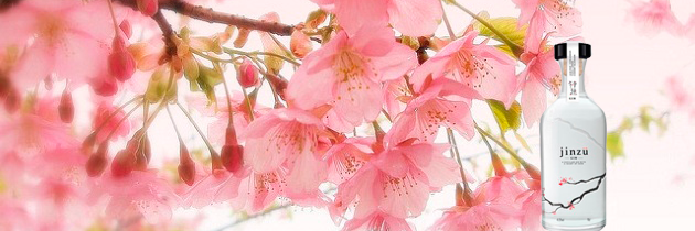 JinzuGin's profile banner image