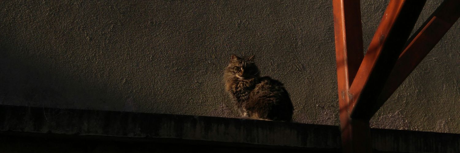 melahattY's profile banner image