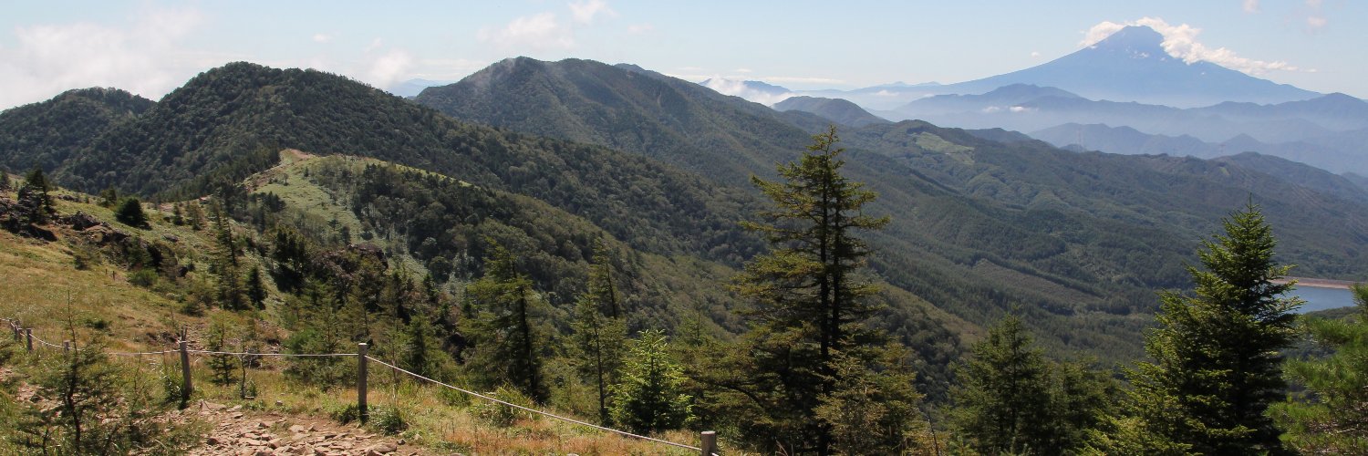 アび🌻山と猫 banner