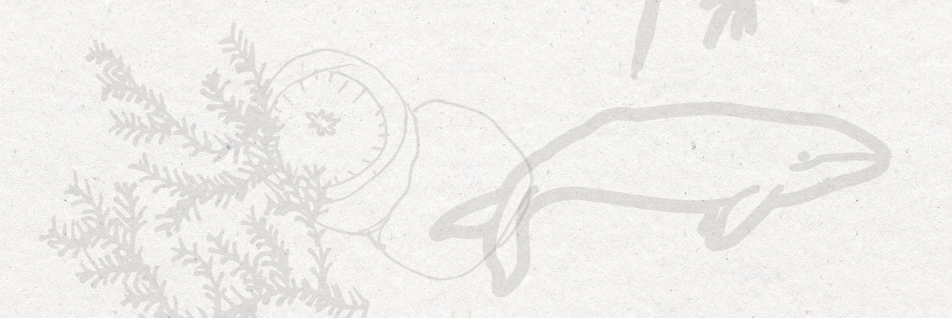 Gray Whale Gin banner