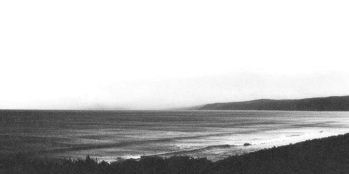 WindOfLarry's profile banner image