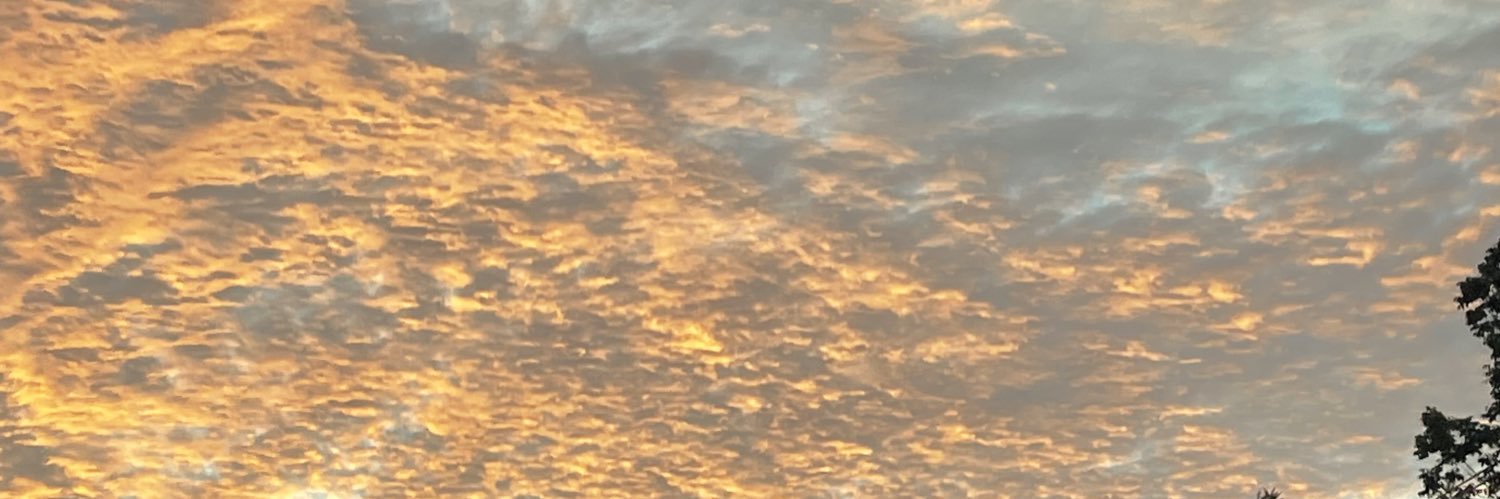 kaylaamoee's profile banner image