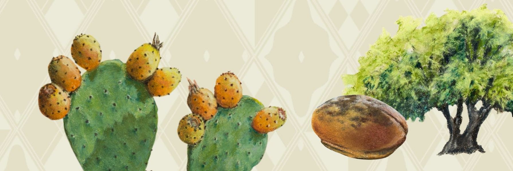 PAMPAT_MA's profile banner image