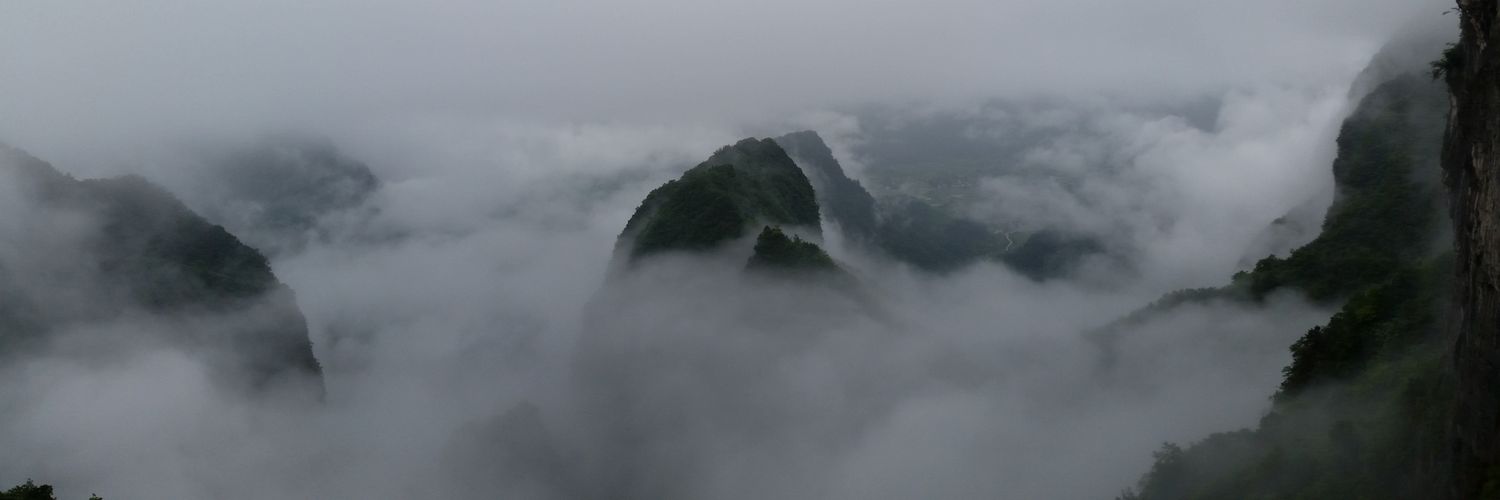 whatswang's profile banner image