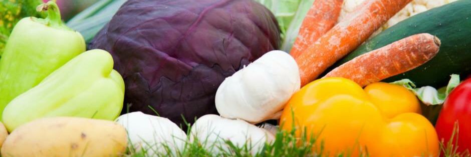 vesterbrookfarm's profile banner image