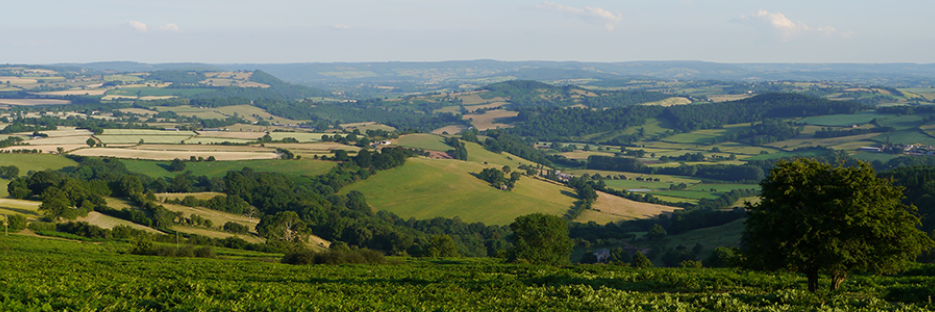 Garway School banner