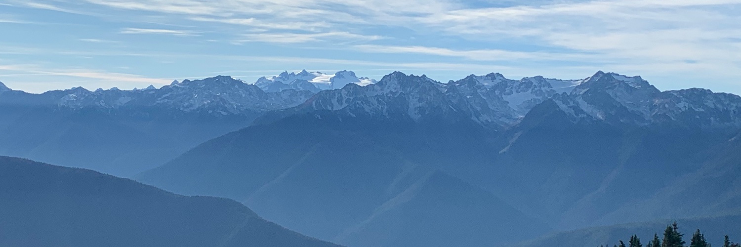 CSilverWellness's profile banner image