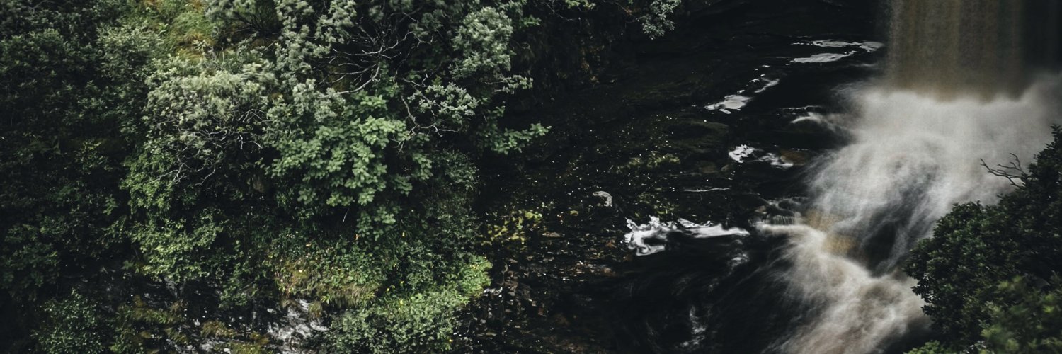 |EDEN| Garden Pool banner