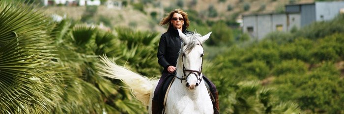 AndHorseDirect's profile banner image