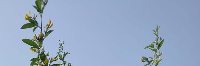reddy_kurnool1's profile banner image