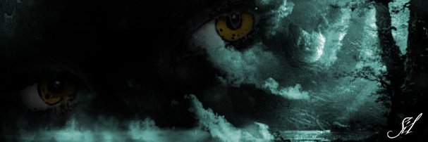 SilEvilsnake's profile banner image
