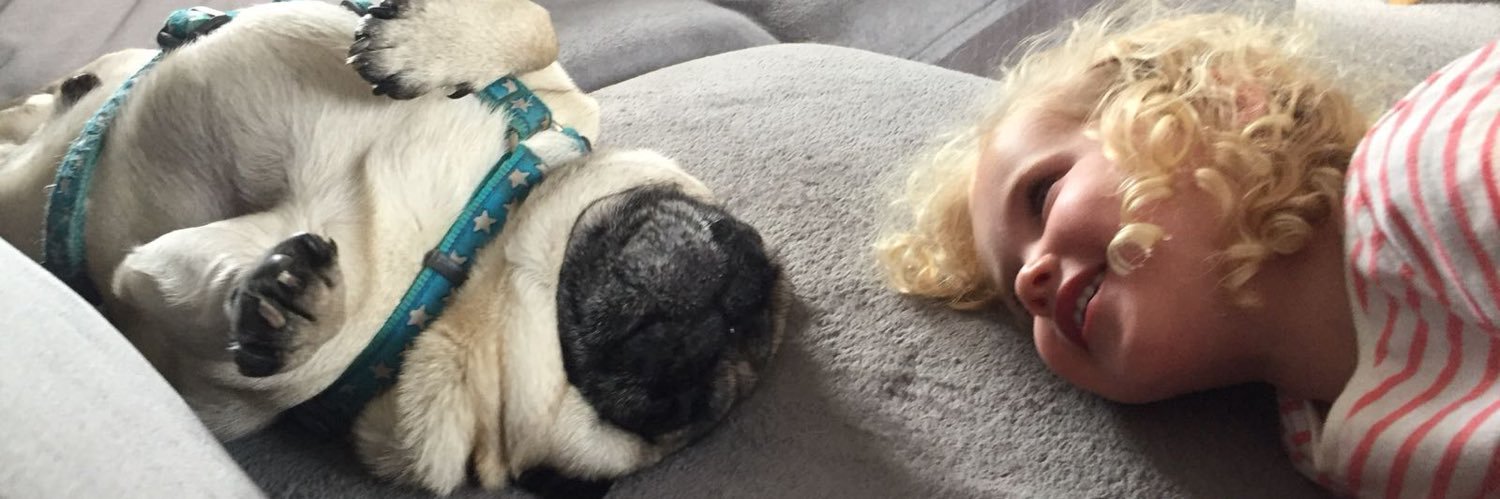 annieelizabeeth's profile banner image