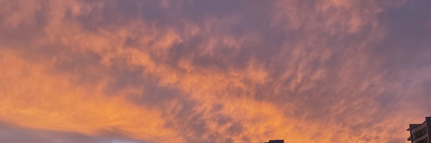 annylara1's profile banner image