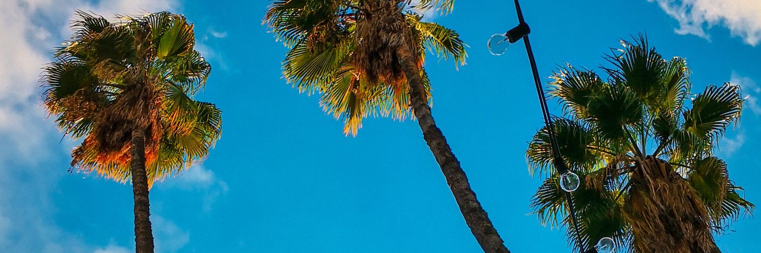 rafadyb's profile banner image