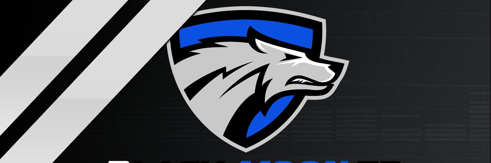 BlackMoonMultiG's profile banner image