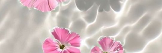 Paalo_Calderon's profile banner image