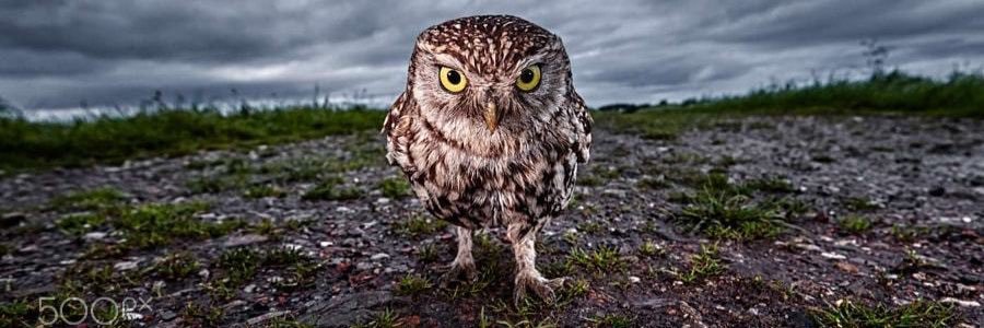 Nathalie with an h banner