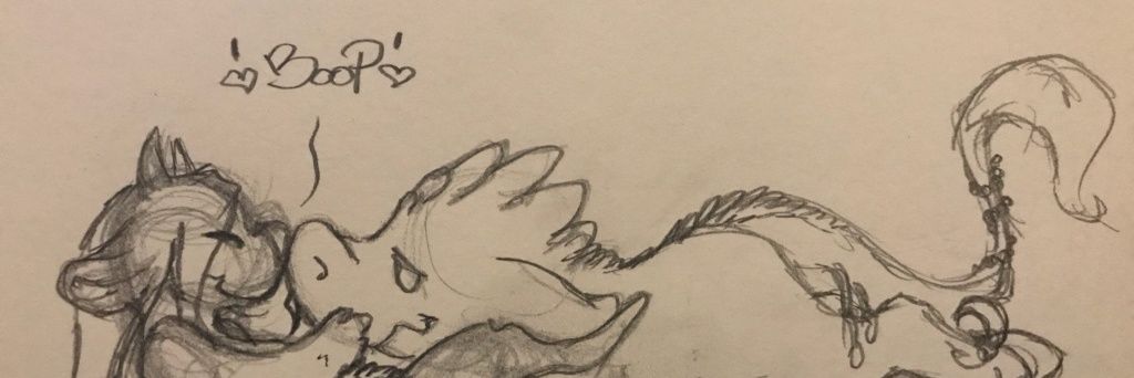 niahmfoxxon's profile banner image
