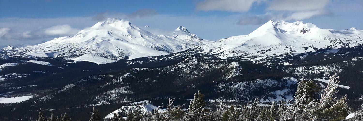 MacyFischer's profile banner image